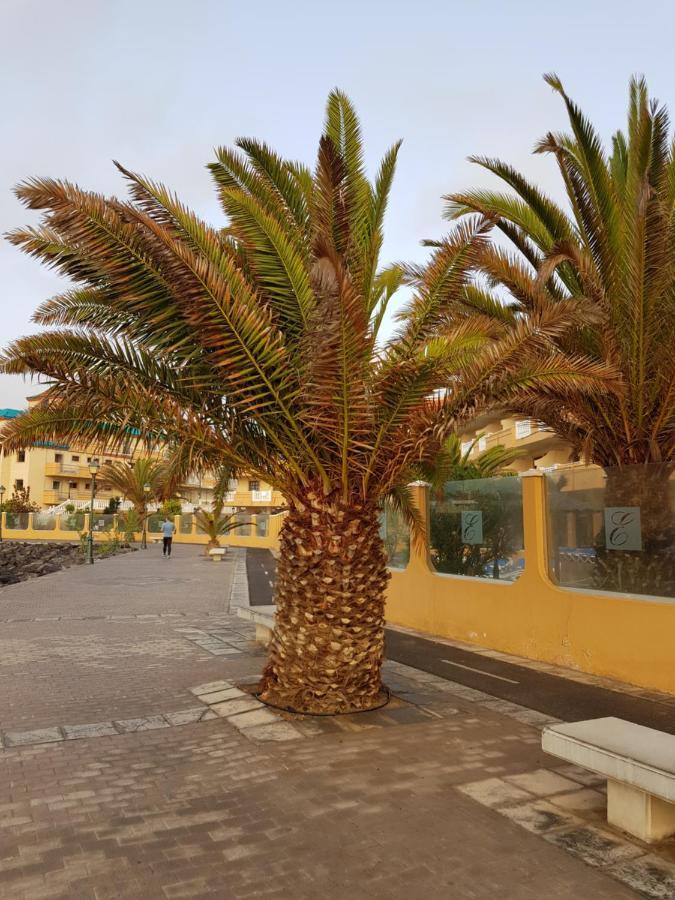 Appartement Casa Mia à Caleta de Fuste Extérieur photo